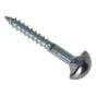 Mirror Screw Chrome Domed Top Slotted ZP, Forge Pack