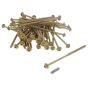 Hexagonal/Torx Compatible Timber T30 Screws Tan 7x150mm Tub 50