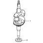 Crankshaft for Honda HRG415C1 (IZY) - PDEE Lawn Mower