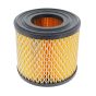 Air Filter for Briggs & Stratton 170400, 171400 Engines - Replaces 390930