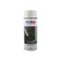 PlastiKote Garden Colours Spray Paint Jasmine White 400ml