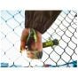 FP222 Fence Pliers and 200 VR22 Hog Rings Kit by Rapid - 40303112