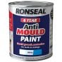 6 Year Anti Mould Paint