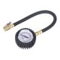 Tyre Pressure Gauge with Clip-On Chuck 0-7bar(0-100psi) Sealey Part No. TST/PG6