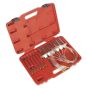 Diesel Injector Flow Test Kit - Common Rail Sealey Part No. VS2046