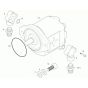 Gear Pump Assembly for Neuson 3001 Dumper